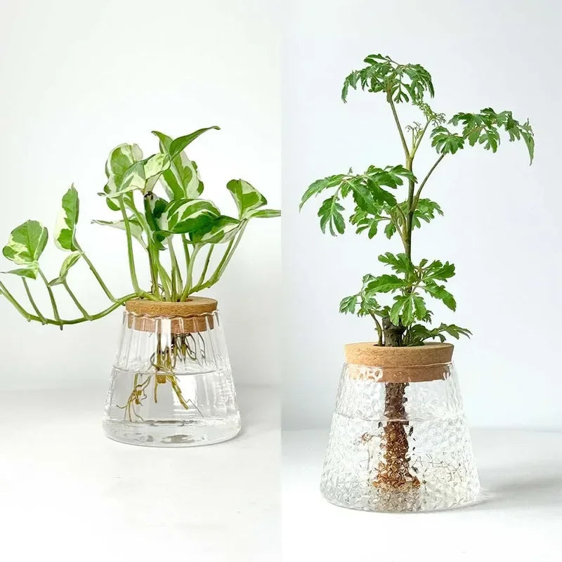 Nordic Glass Hydroponic Vase – Self-Watering Plant Planter with Tray for Modern Tabletop Décor, Ideal Home Gift for Plant Lovers