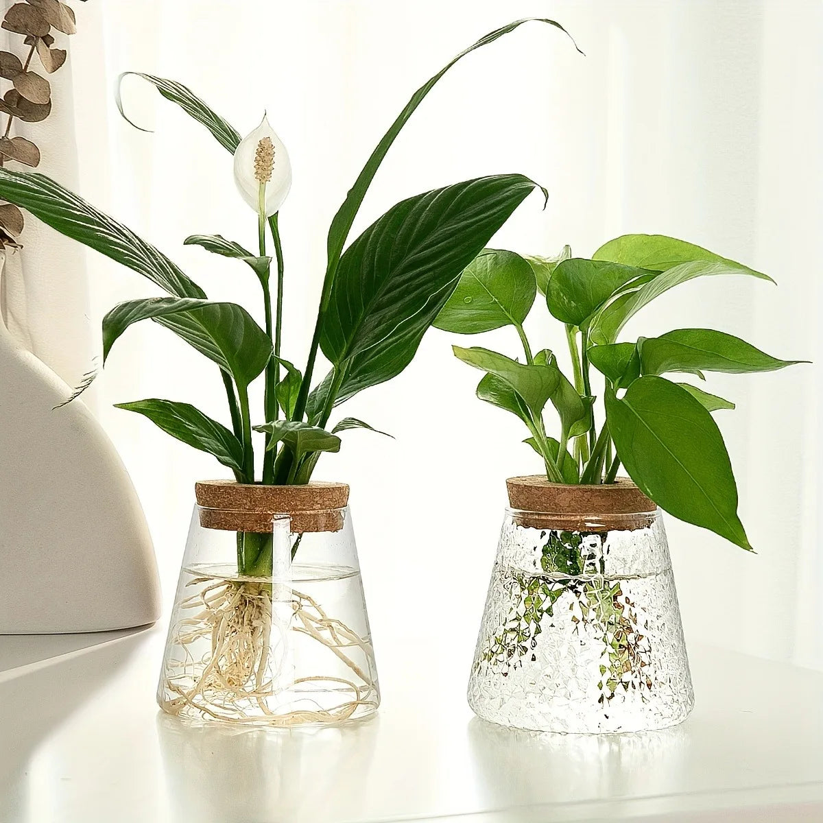 Nordic Glass Hydroponic Vase – Self-Watering Plant Planter with Tray for Modern Tabletop Décor, Ideal Home Gift for Plant Lovers
