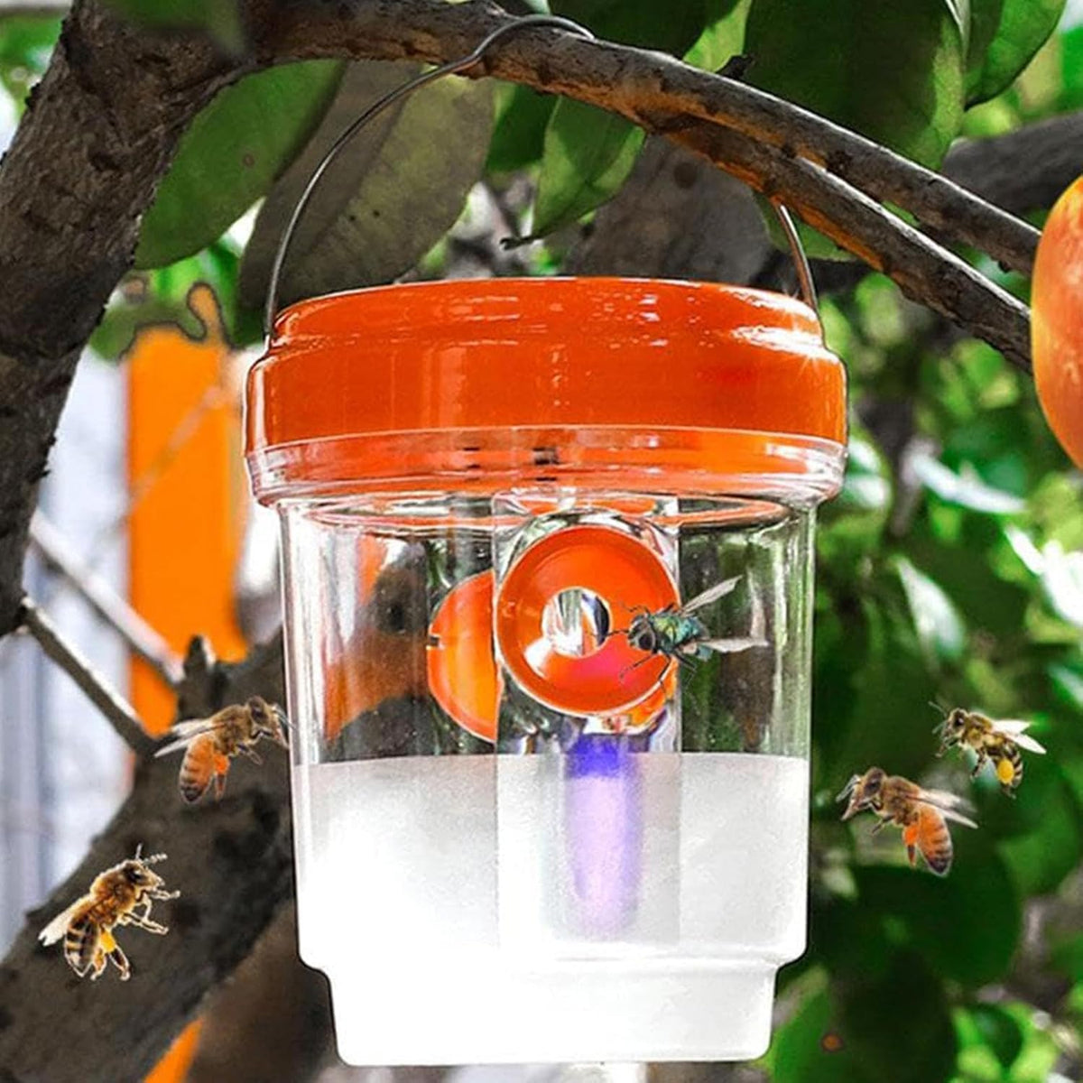 Clear Plastic Outdoor Insect Trap – Transparent Fruit Fly and Wasp Catcher with Lid for Easy Monitoring