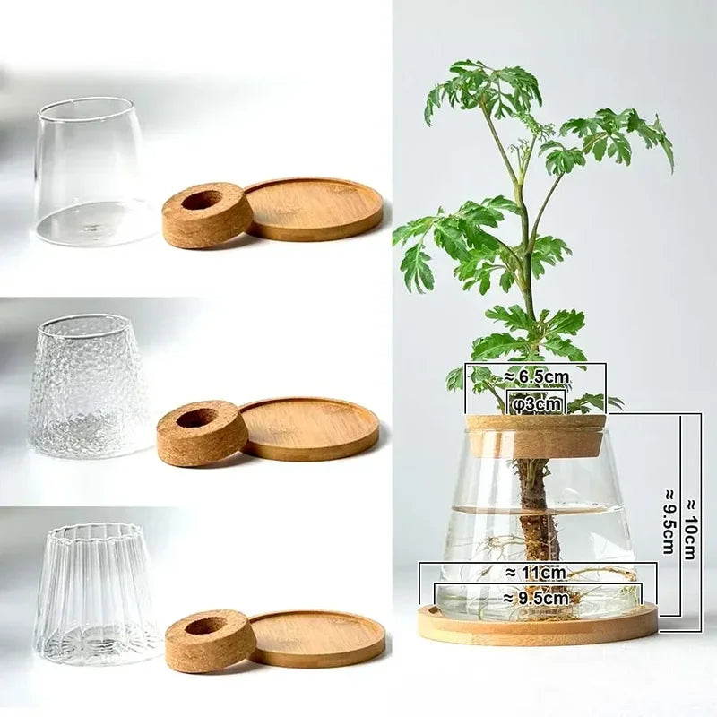 Nordic Glass Hydroponic Vase – Self-Watering Plant Planter with Tray for Modern Tabletop Décor, Ideal Home Gift for Plant Lovers