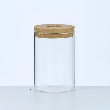 Nordic Glass Hydroponic Vase – Self-Watering Plant Planter with Tray for Modern Tabletop Décor, Ideal Home Gift for Plant Lovers