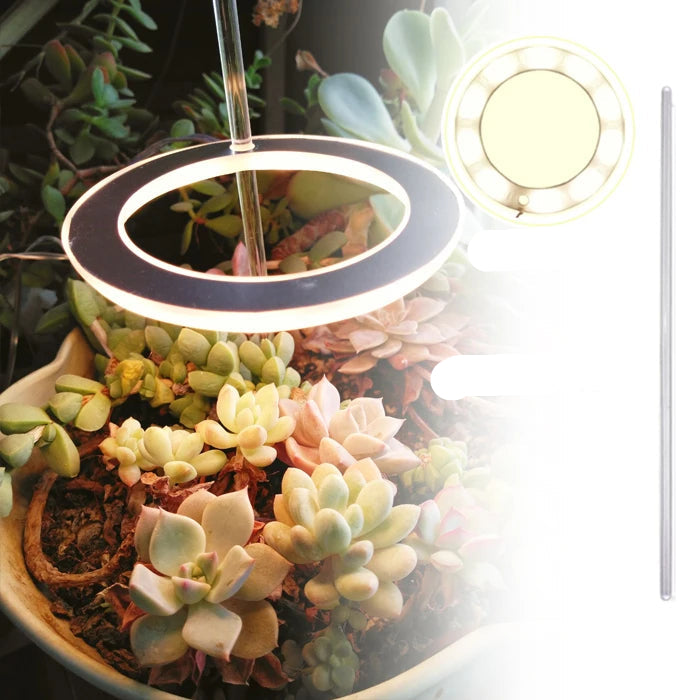 Angel Ring LED Grow Light - USB Full Spectrum Lamp for Indoor Plants & Seedlings