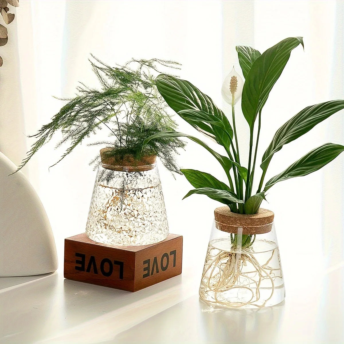 Nordic Glass Hydroponic Vase – Self-Watering Plant Planter with Tray for Modern Tabletop Décor, Ideal Home Gift for Plant Lovers