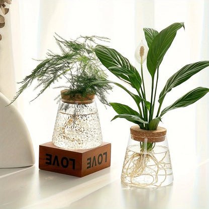 Nordic Glass Hydroponic Vase – Self-Watering Plant Planter with Tray for Modern Tabletop Décor, Ideal Home Gift for Plant Lovers
