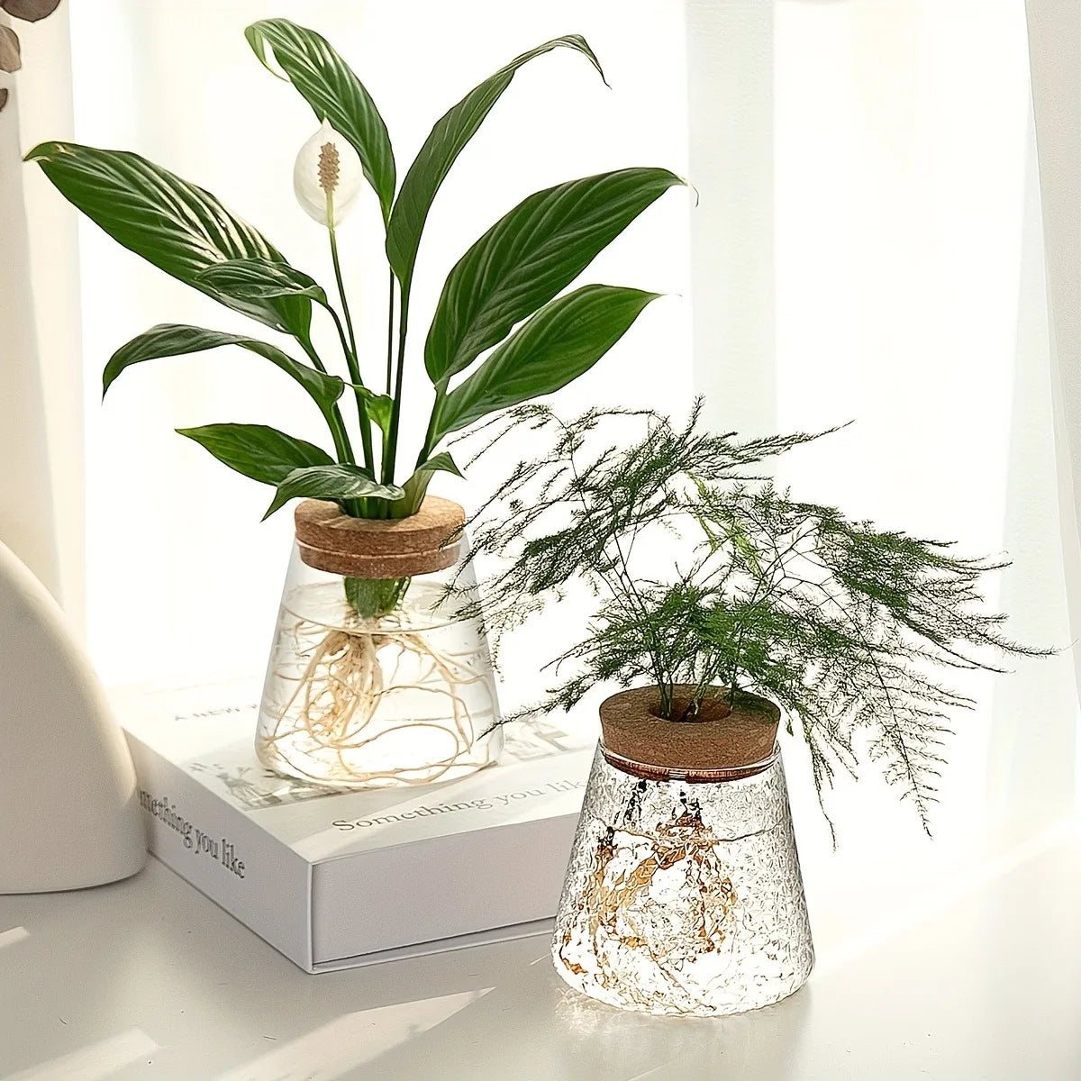Nordic Glass Hydroponic Vase – Self-Watering Plant Planter with Tray for Modern Tabletop Décor, Ideal Home Gift for Plant Lovers