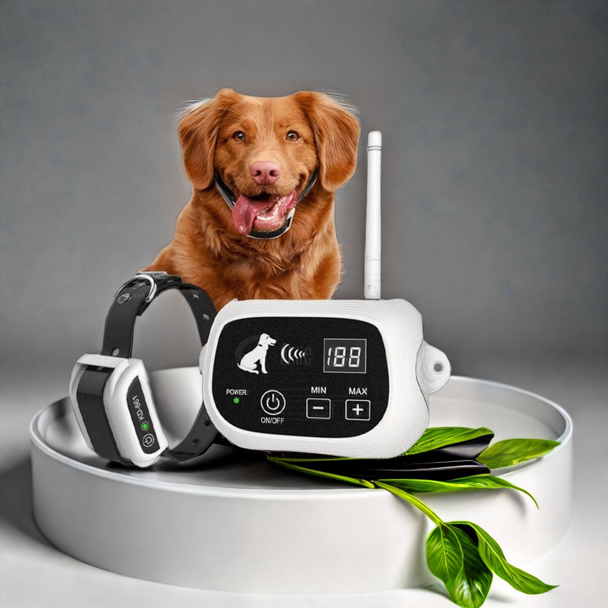 Wireless Dog Fence Collar System